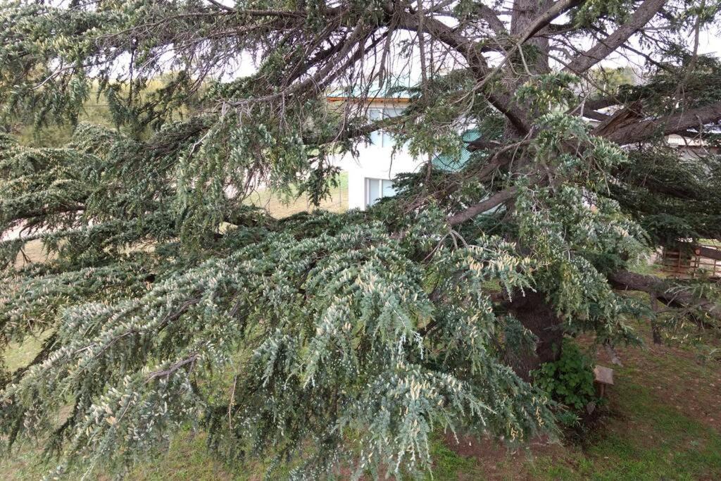 Maika La Peke Apartment Sierra de la Ventana Ngoại thất bức ảnh
